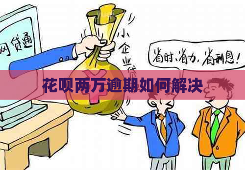 白条两万逾期如何解决
