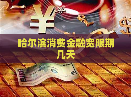 哈尔滨消费金融宽限期几天