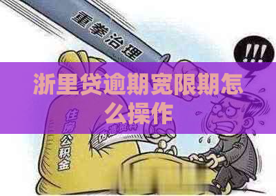 浙里贷逾期宽限期怎么操作