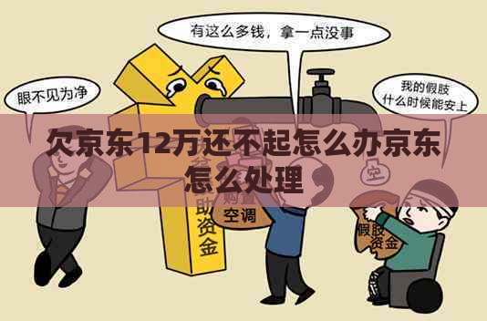 欠京东12万还不起怎么办京东怎么处理