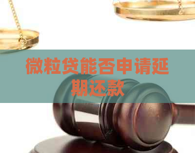 微粒贷能否申请延期还款