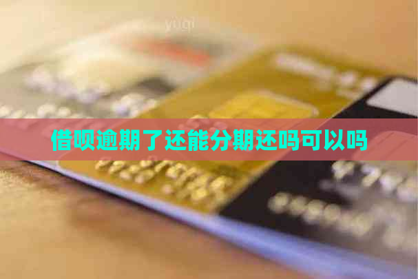 信用卡逾期了还能分期还吗可以吗