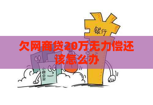 欠白条贷20万无力偿还该怎么办