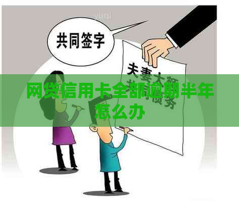 网贷信用卡全部逾期半年怎么办