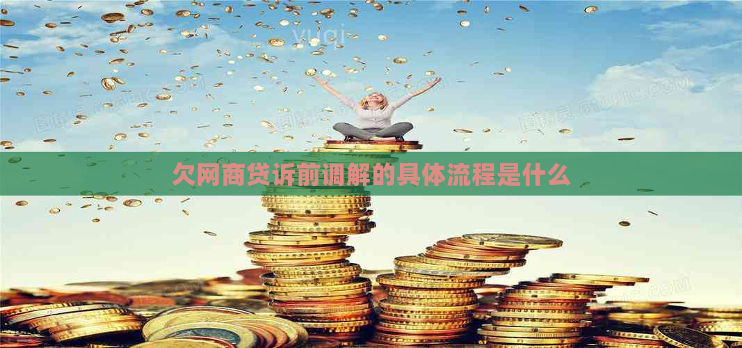 欠白条贷诉前调解的具体流程是什么