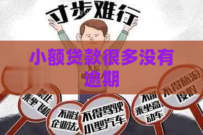小额贷款很多没有逾期