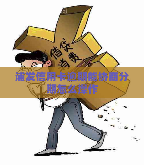 浦发信用卡逾期能协商分期怎么操作