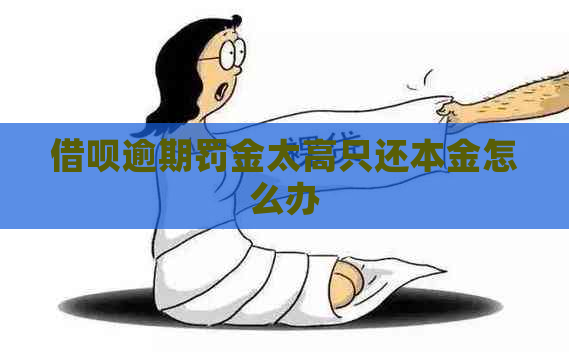 信用卡逾期罚金太高只还本金怎么办