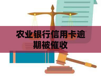 农业银行信用卡逾期被