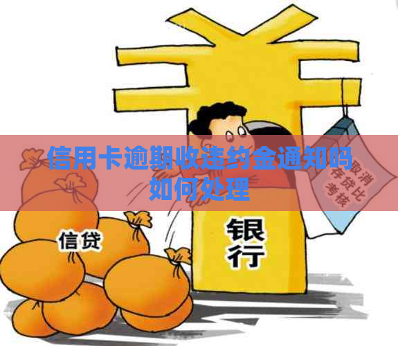 信用卡逾期收违约金通知吗如何处理