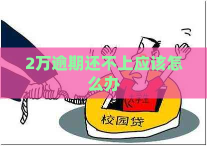 2万逾期还不上应该怎么办