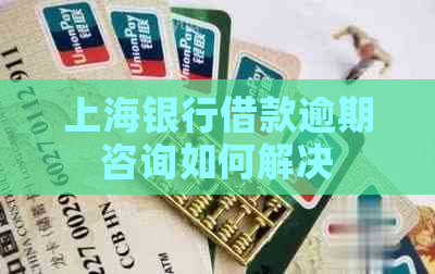 上海银行借款逾期咨询如何解决