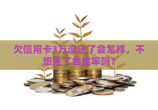 欠信用卡3万没还了会怎样，不想还了会坐牢吗？