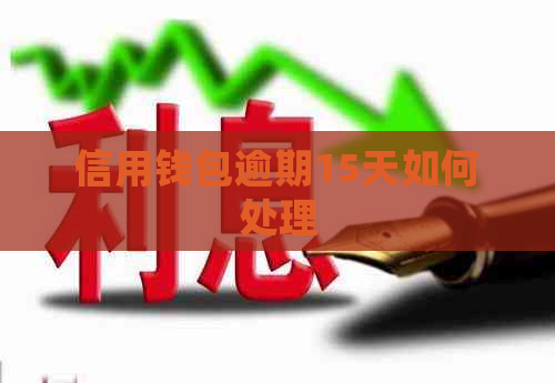 信用钱包逾期15天如何处理