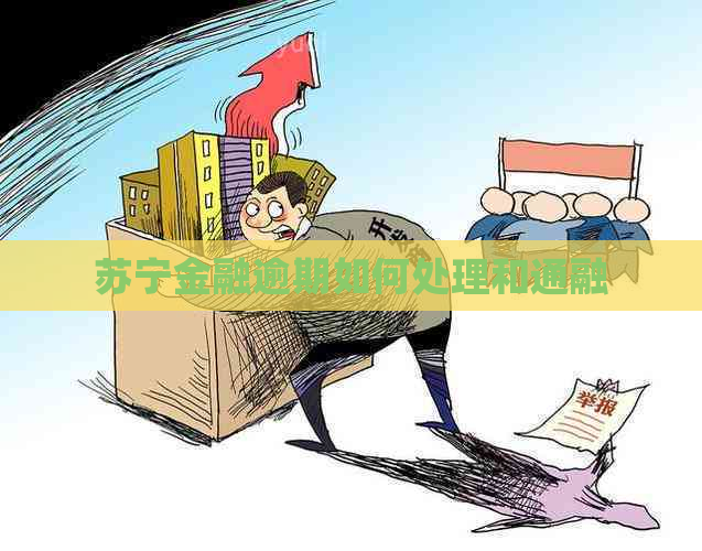 苏宁金融逾期如何处理和通融