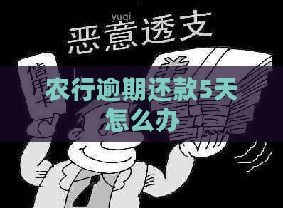 农行逾期还款5天怎么办