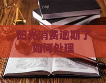 阳光消费逾期了如何处理