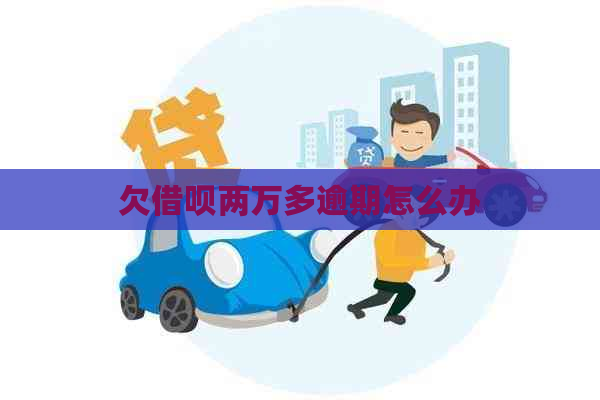 欠信用卡两万多逾期怎么办