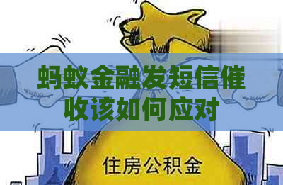 蚂蚁金融发短信该如何应对