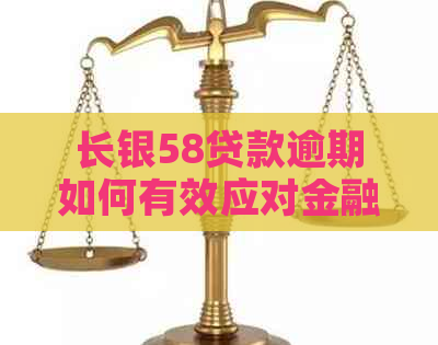 长银58贷款逾期如何有效应对金融困境