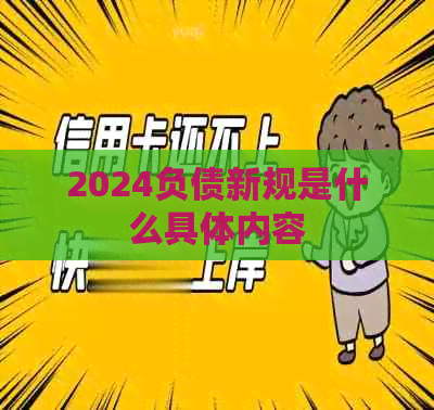 2024负债新规是什么具体内容