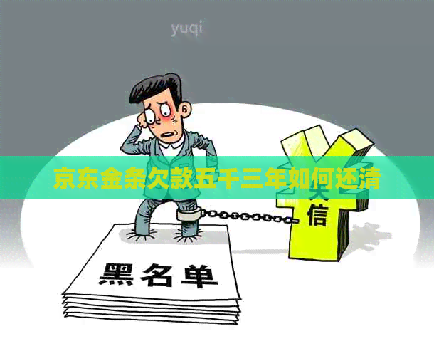 京东金条欠款五千三年如何还清