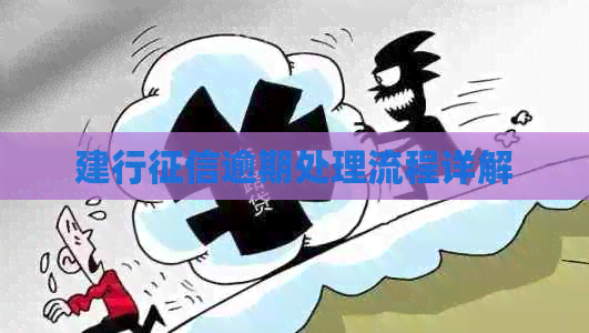 建行逾期处理流程详解