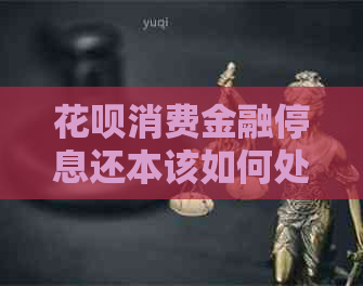 白条消费金融停息还本该如何处理