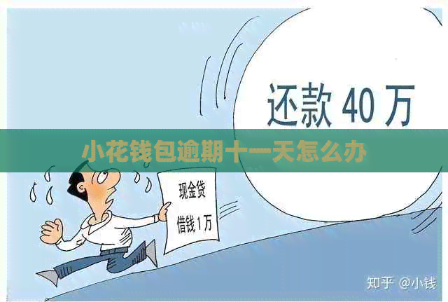 小花钱包逾期十一天怎么办