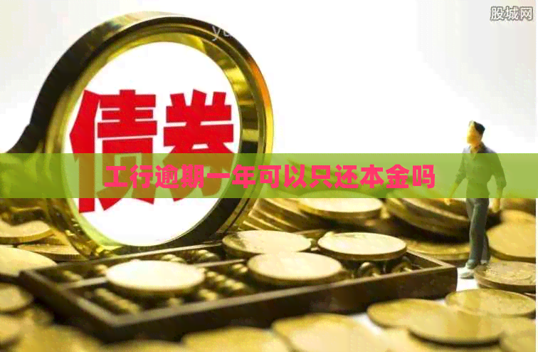 工行逾期一年可以只还本金吗
