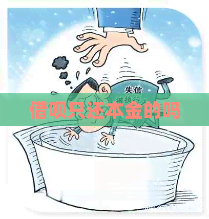 信用卡只还本金的吗