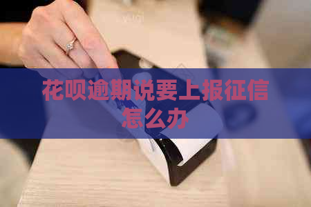 白条逾期说要上报怎么办