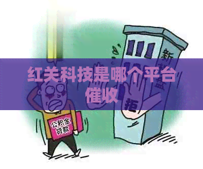 红关科技是哪个平台