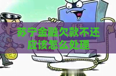 苏宁金融欠款不还应该怎么处理