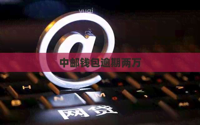 中邮钱包逾期两万