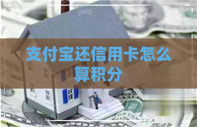 支付宝还信用卡怎么算积分