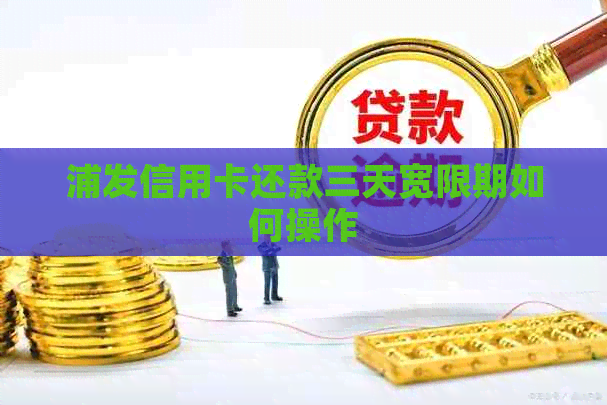 浦发信用卡还款三天宽限期如何操作