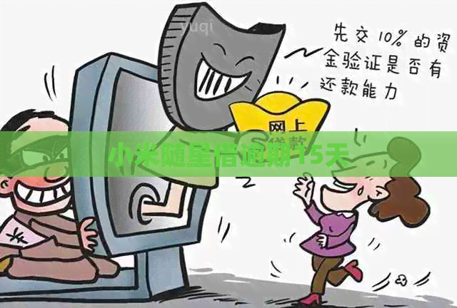 小米随星借逾期15天