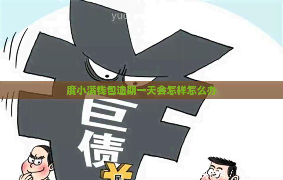 度小满钱包逾期一天会怎样怎么办