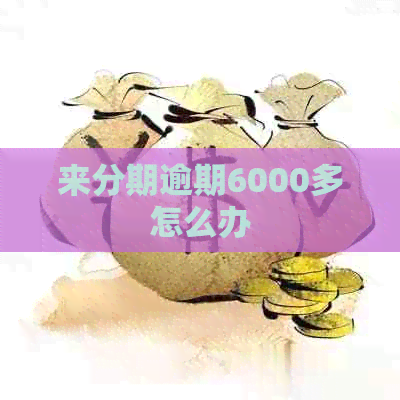 来分期逾期6000多怎么办