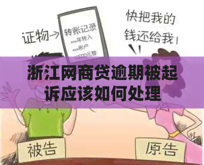 浙江白条贷逾期被起诉应该如何处理