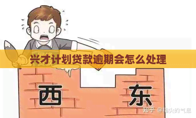兴才计划贷款逾期会怎么处理