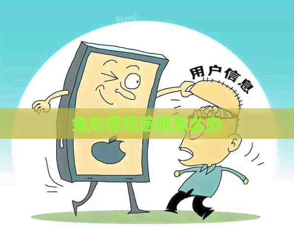 金东信用卡逾期怎么办