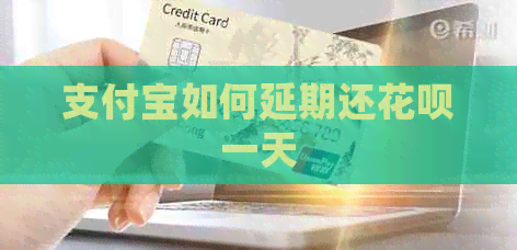 信用卡如何延期还白条一天