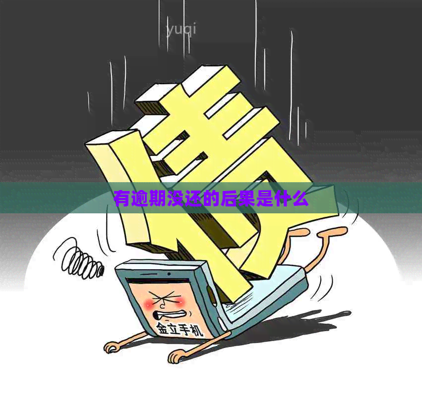 有逾期没还的后果是什么