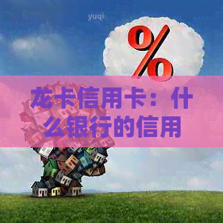 龙卡信用卡：什么银行的信用卡？有什么活动？用途是什么？
