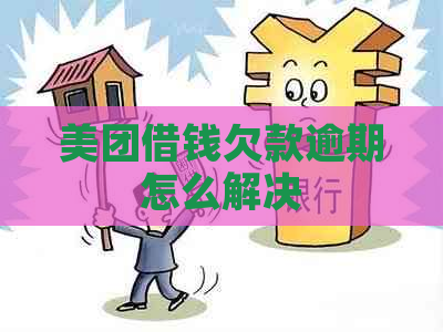 美团借钱欠款逾期怎么解决