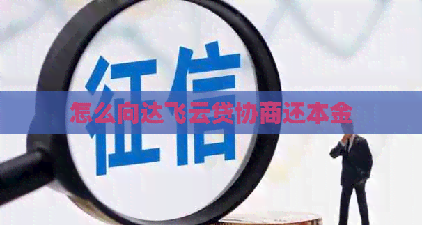 怎么向达飞云贷协商还本金