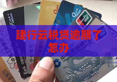 建行云税贷逾期了怎办