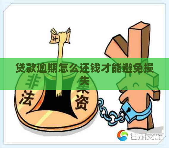贷款逾期怎么还钱才能避免损失